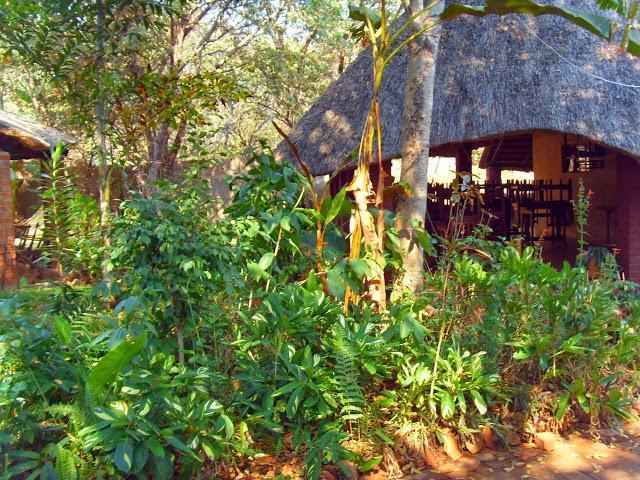 Mosi-Ua-Tunya Lodge Victoriawatervallen Buitenkant foto